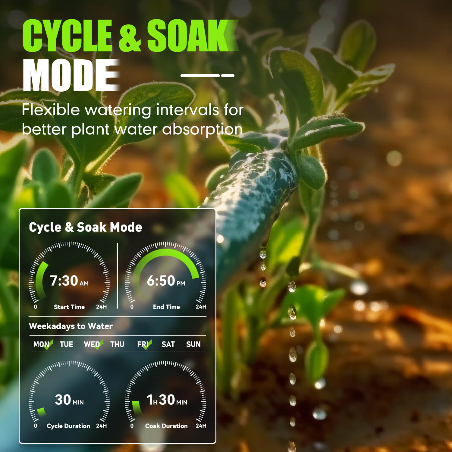 drip irrigation
